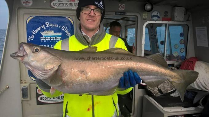 15 lb 4 oz Pollock by unknown