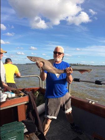 10 lb 3 oz Smooth-hound by Jimmy
