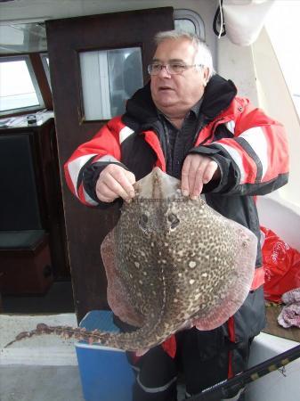 11 lb 4 oz Thornback Ray by wally