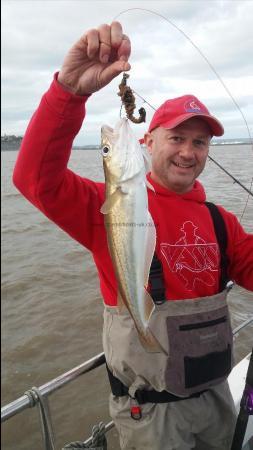 2 lb Whiting by Hairy Harry from barry