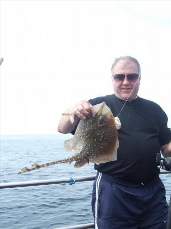 4 lb Thornback Ray by Unknown