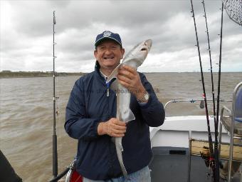 5 lb Starry Smooth-hound by Peter