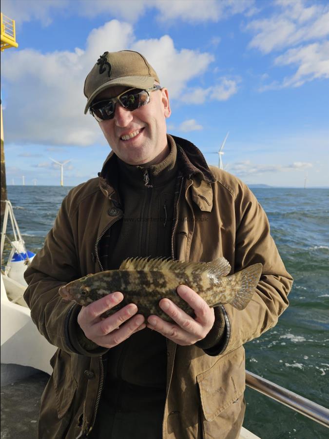 2 lb 6 oz Ballan Wrasse by Unknown