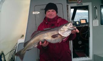 14 lb 2 oz Pollock by ian wilson