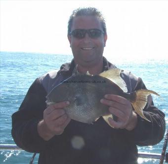 3 lb Trigger Fish by Richard Day