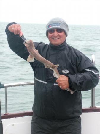 2 lb Lesser Spotted Dogfish by Billy Boswell