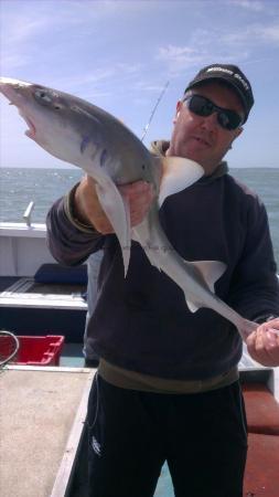 6 lb Smooth-hound by John