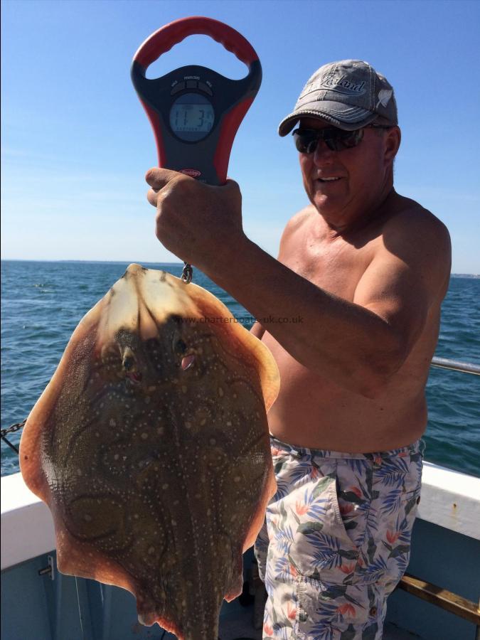 11 lb 3 oz Small-Eyed Ray by Unknown