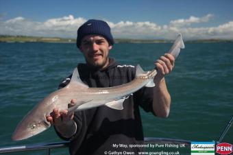 8 lb Starry Smooth-hound by James