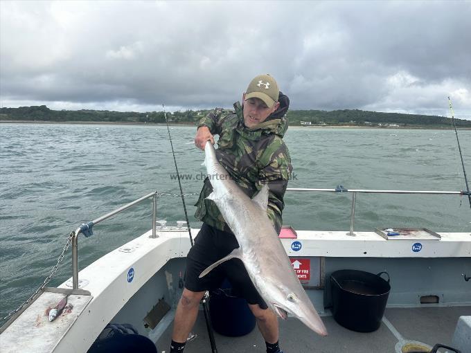 37 lb 8 oz Tope by Rick