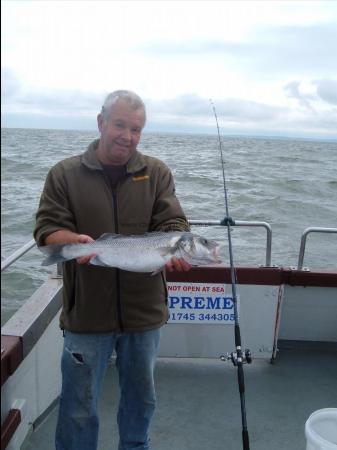 4 lb 14 oz Bass by jeff