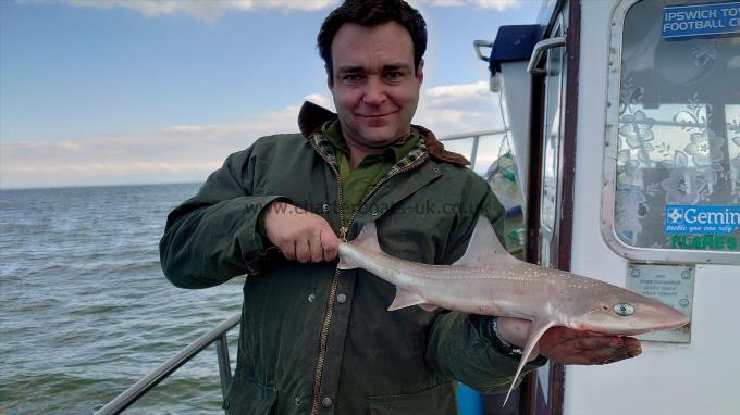4 lb Smooth-hound (Common) by Robert from Southend
