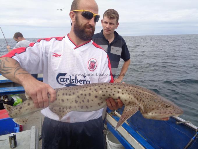 14 lb 4 oz Bull Huss by caught by pete