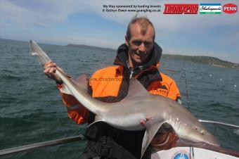 18 lb Starry Smooth-hound by Dave