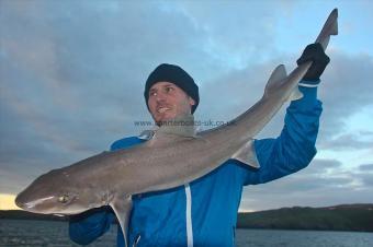 14 lb Starry Smooth-hound by Gaz