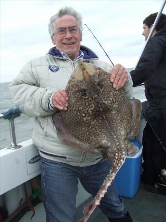 10 lb 4 oz Thornback Ray by alan