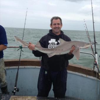 14 lb Starry Smooth-hound by Gareth howlett