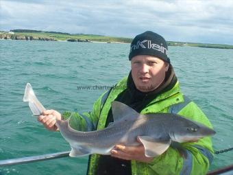 11 lb Starry Smooth-hound by Ari