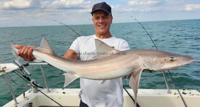 18 lb Starry Smooth-hound by Darren