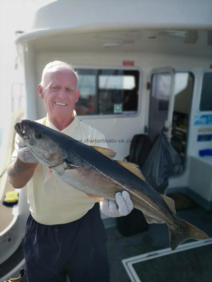 7 lb 1 oz Coalfish (Coley/Saithe) by Unknown