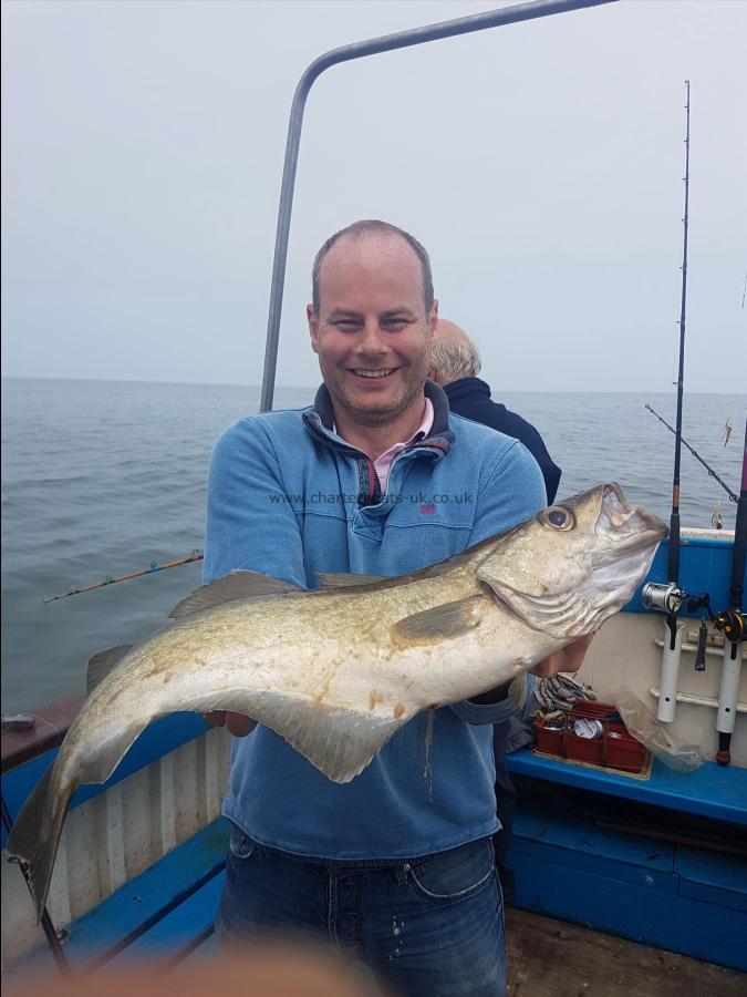 8 lb 10 oz Pollock by Unknown
