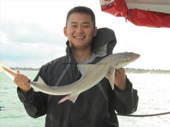 4 lb 5 oz Smooth-hound by Simon