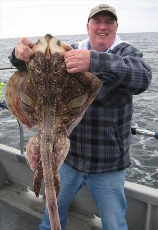 11 lb 4 oz Undulate Ray by Ray Sibley