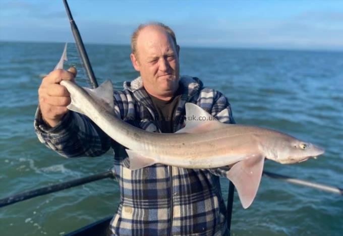 7 lb Smooth-hound by Unknown