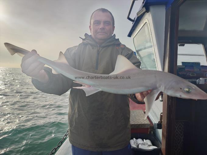 6 lb Smooth-hound by Ian From Bromley