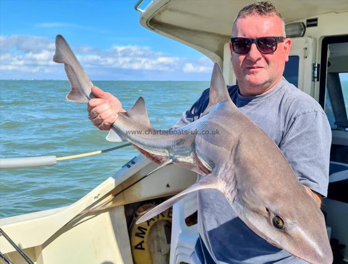 16 lb 1 oz Starry Smooth-hound by Dan