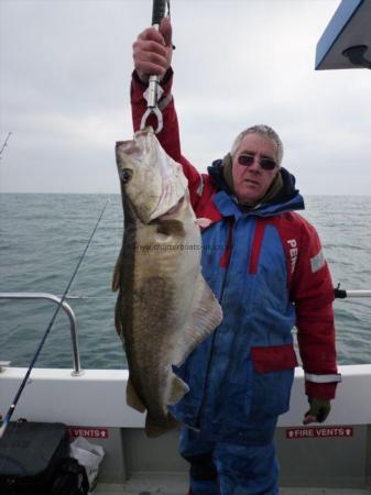 14 lb 8 oz Pollock by Dave Borton