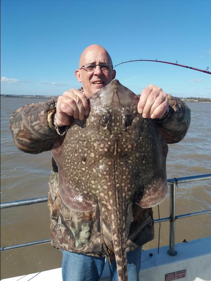 11 lb Thornback Ray by Frank