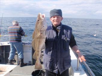 7 lb 6 oz Cod by Unknown