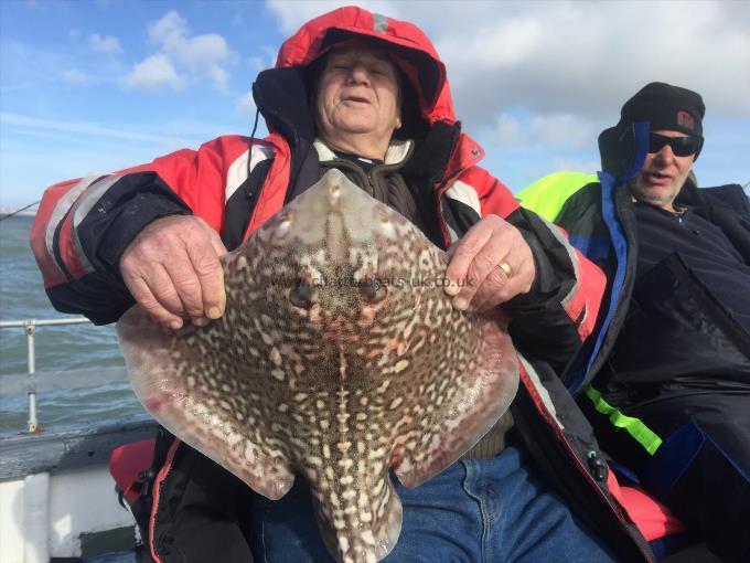 9 lb 11 oz Thornback Ray by Unknown