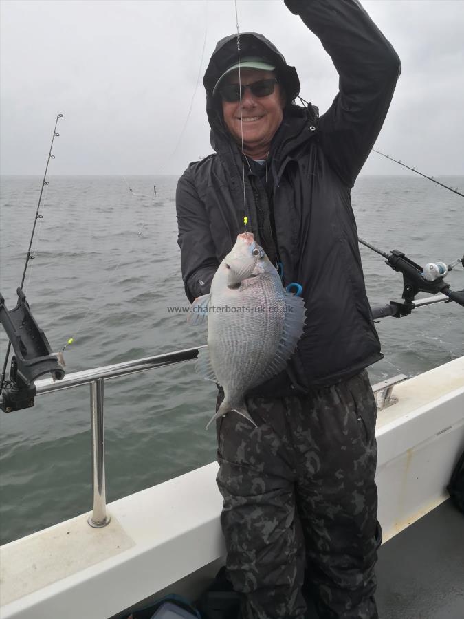 2 lb Black Sea Bream by Simon