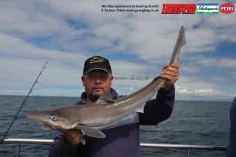 12 lb Tope by Brooksy