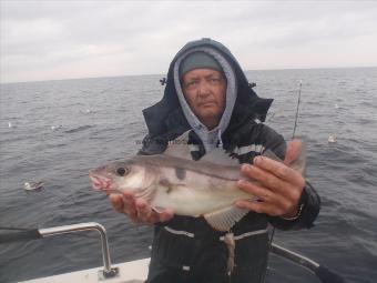 2 lb 9 oz Haddock by Mick Long from Preston.