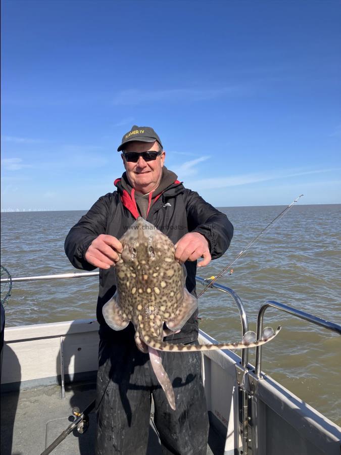 7 lb Thornback Ray by Unknown
