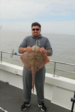 12 lb Thornback Ray by Unknown