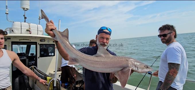 13 lb Starry Smooth-hound by Phil
