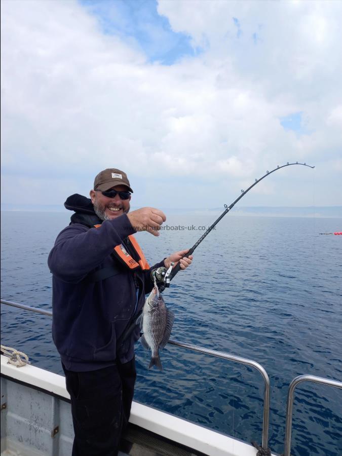 1 lb 8 oz Black Sea Bream by Duncan