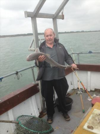 9 lb 8 oz Starry Smooth-hound by Gerald with fine Starry Smoothhound