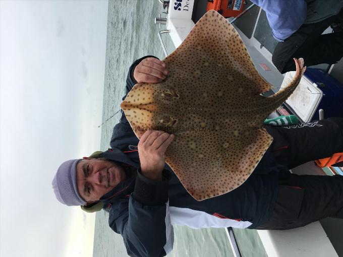 18 lb Blonde Ray by Steve Peek