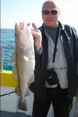 11 lb Cod by Maris Ozols