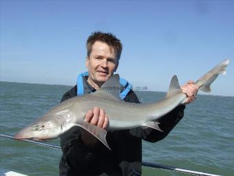 12 lb Smooth-hound (Common) by Unknown