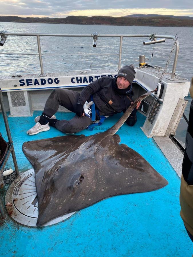 188 lb Common Skate by Unknown