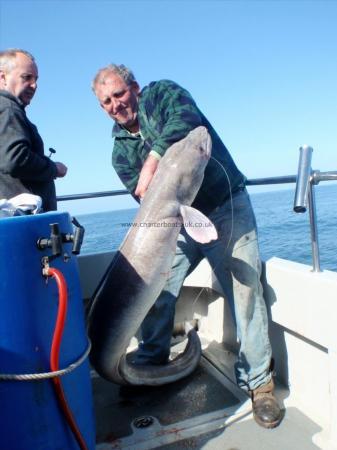 80 lb Conger Eel by Stuart Cross