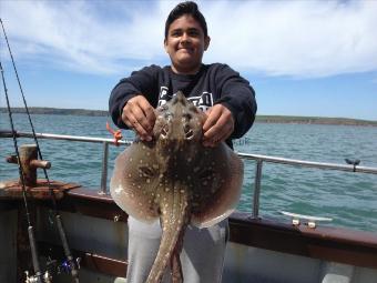 6 lb 8 oz Thornback Ray by Kevin from Ammanford