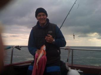 1 lb 8 oz Red Gurnard by Dennis from Christchurch Angling Club