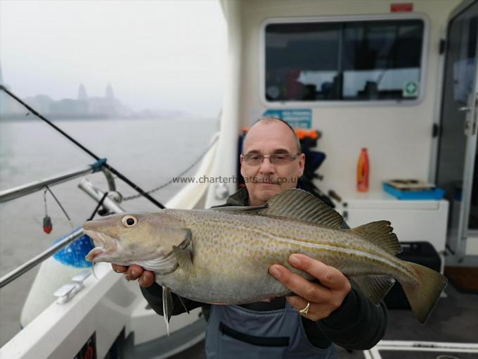 3 lb 10 oz Cod by Unknown